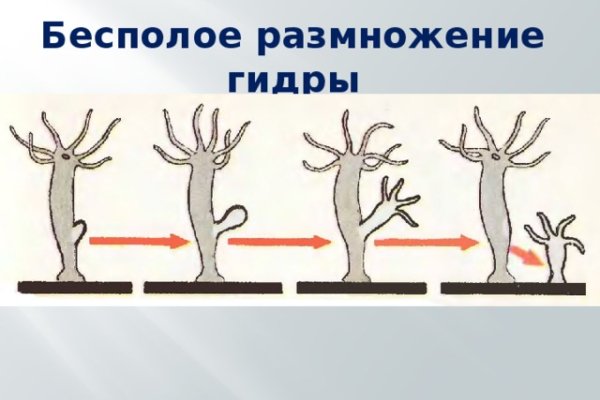 Как отличить оригинальный сайт кракена