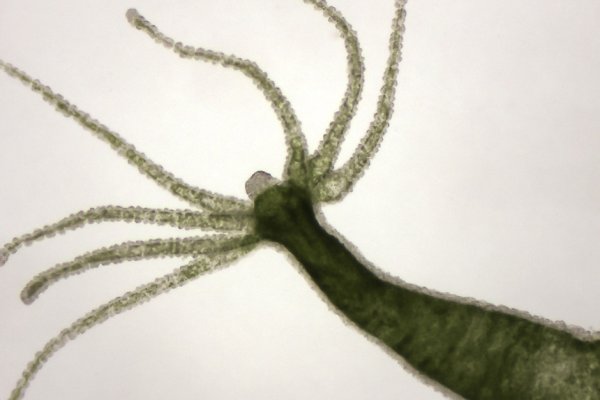 Kraken ссылка kraken014 com
