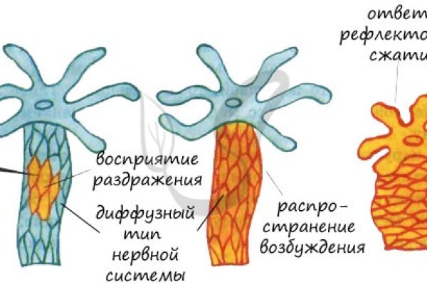 Кракен оф