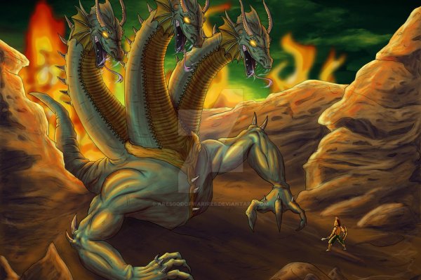 Kraken найдется все