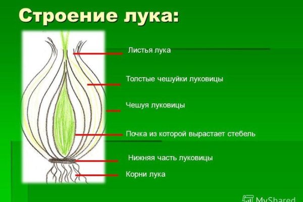 Как восстановить пароль на кракене