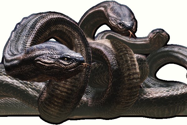 Kraken 18 at