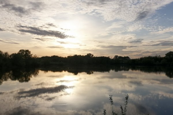 Кракен даркен