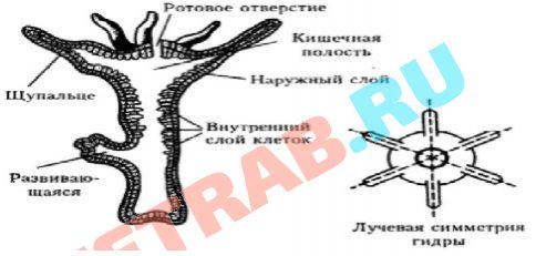 Ссылка кракен kraken014 com